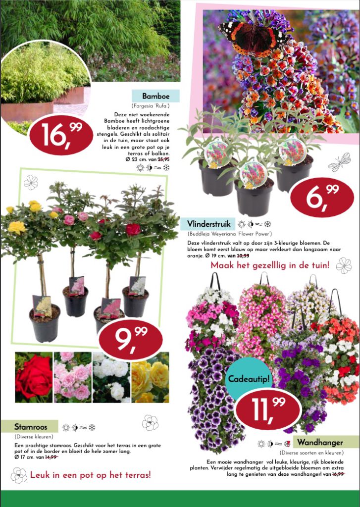 Flyer week 5 pagina 2