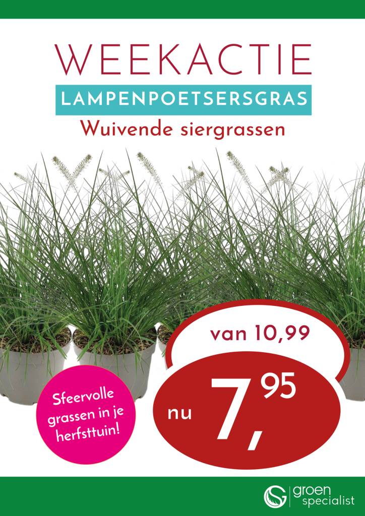Poster-15--week-36-1200-X-1696