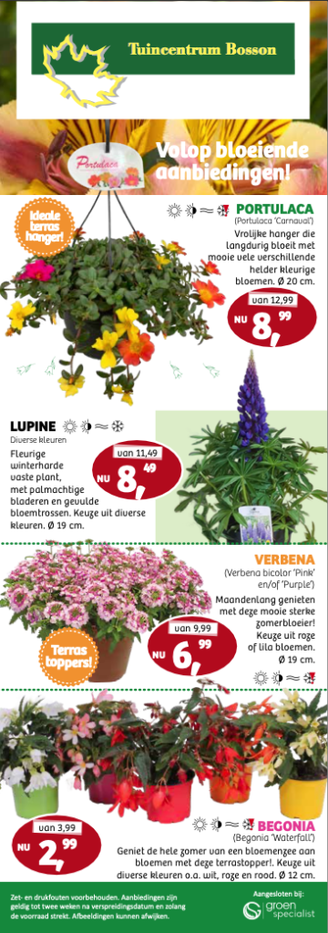 Flyer 5 pagina 1