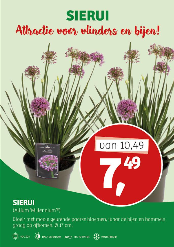 Sierui aanbieding