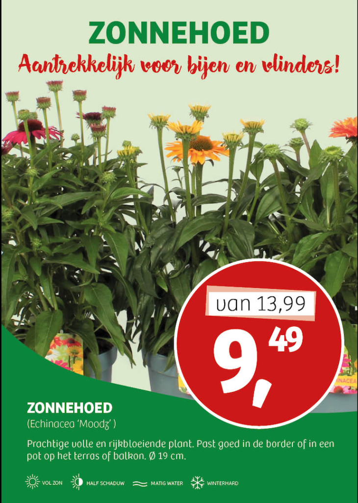 Zonnehoed aanbieding