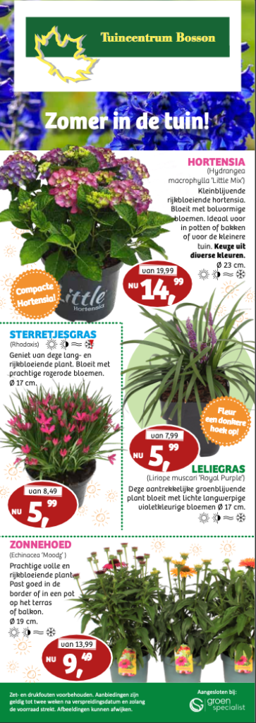flyer 8 pagina 1
