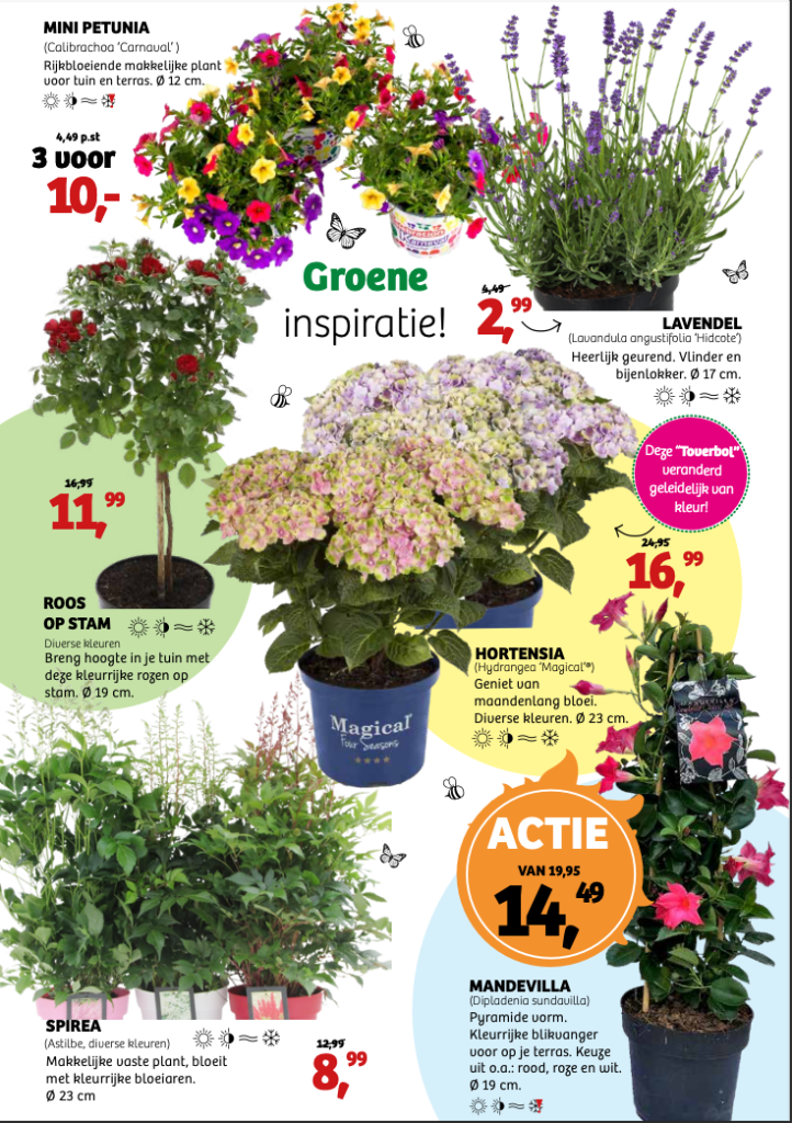 Flyer 6 pagina 2