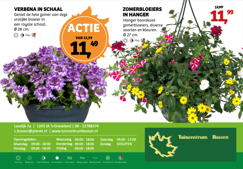 Flyer 6 pagina 3