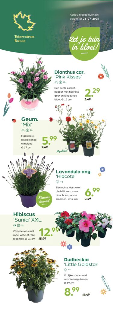 250612_GNS_Flyer_Bosson-afbeeldingen-0